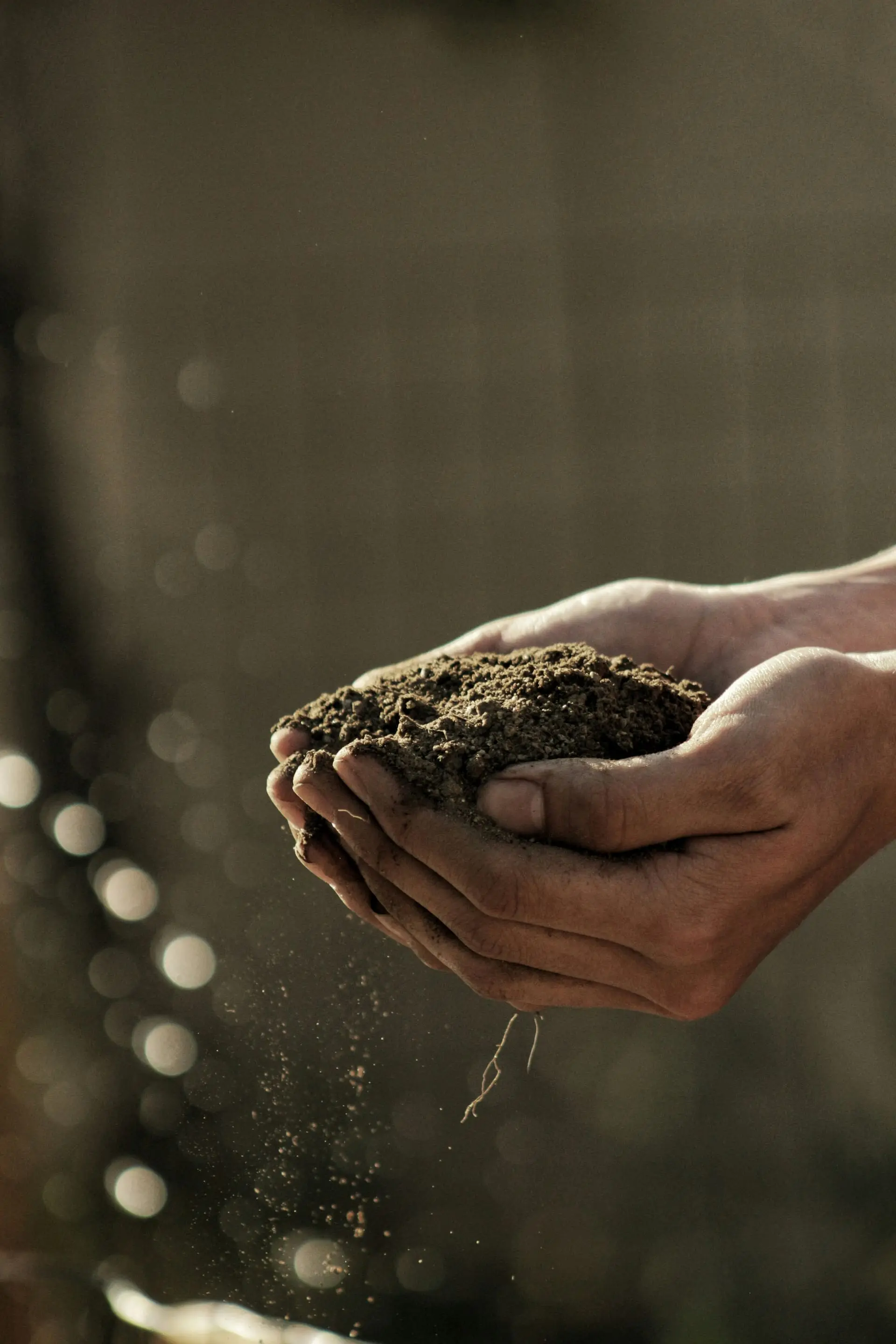 Sustainable Agriculture